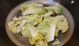 白菜吃鸡爆料视频下载,揭秘游戏幕后精彩瞬间